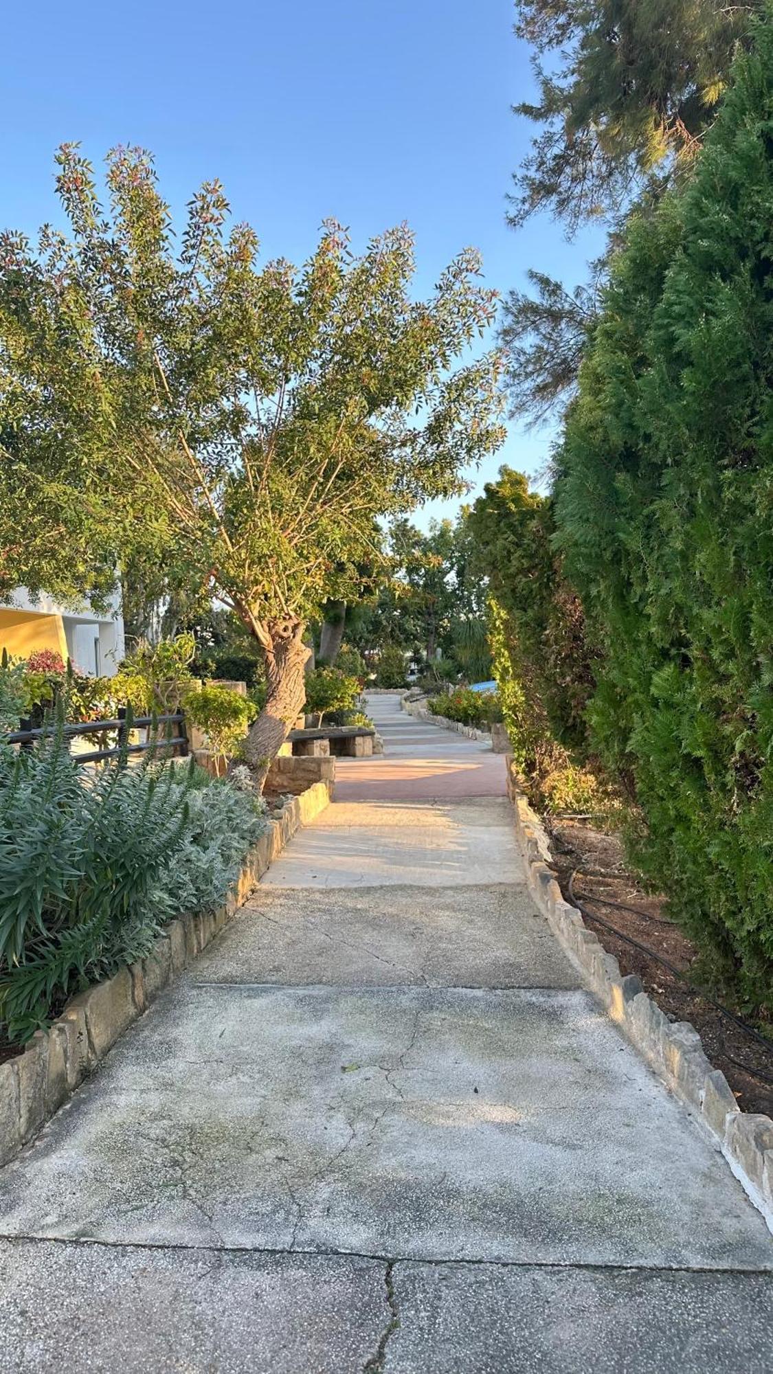 Paphos Gardens Studio Suite מראה חיצוני תמונה