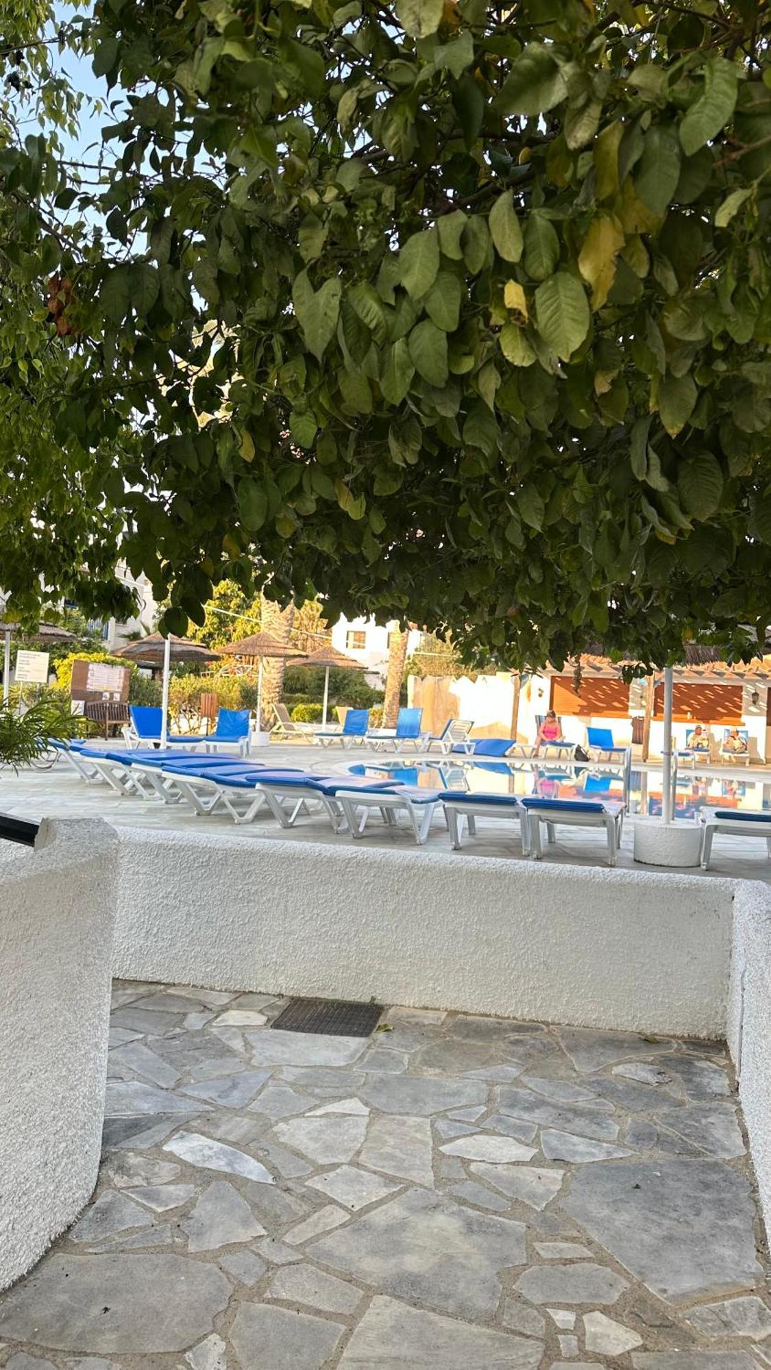 Paphos Gardens Studio Suite מראה חיצוני תמונה