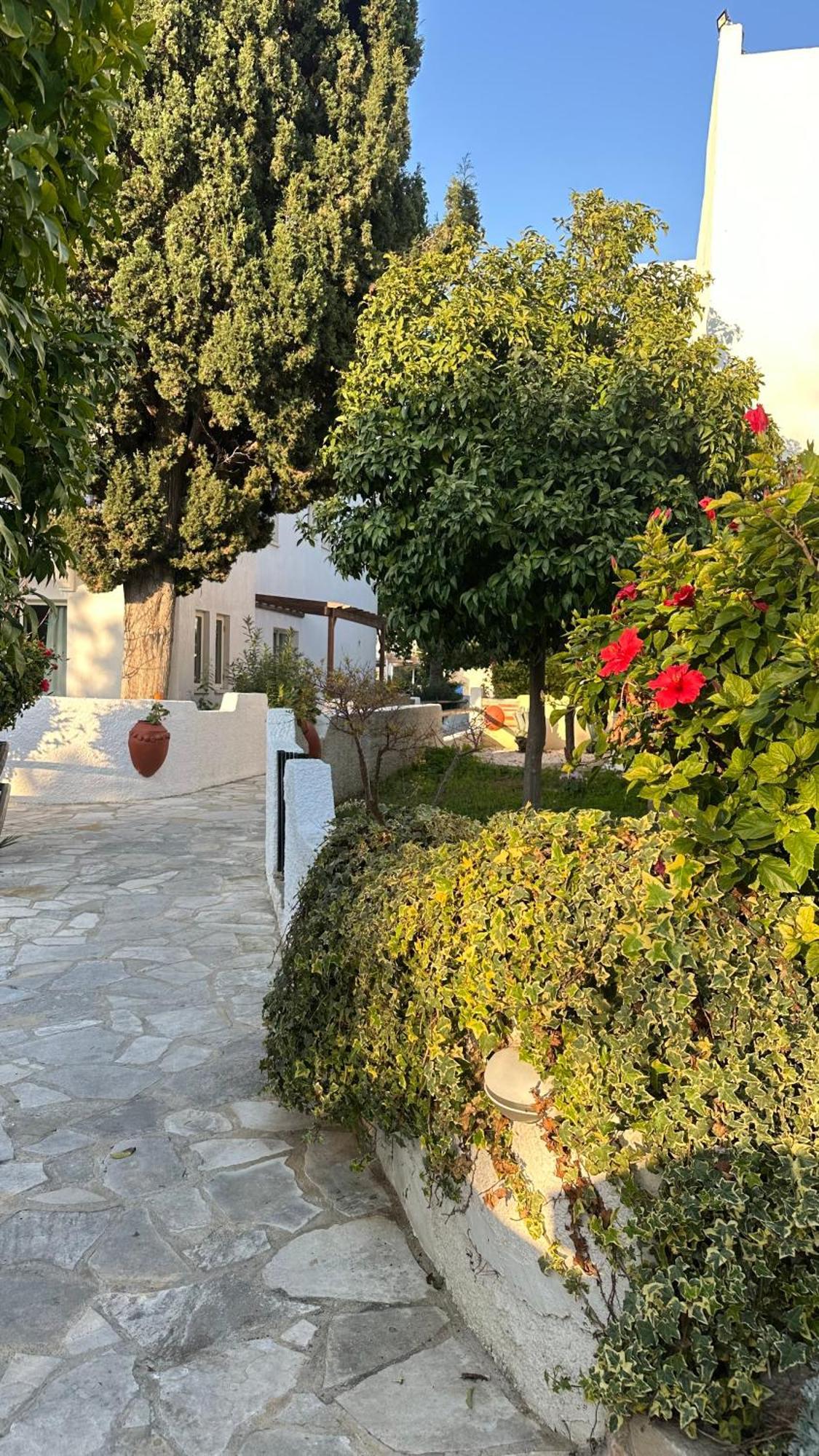 Paphos Gardens Studio Suite מראה חיצוני תמונה