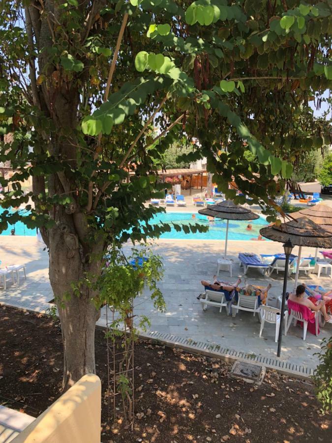 Paphos Gardens Studio Suite מראה חיצוני תמונה